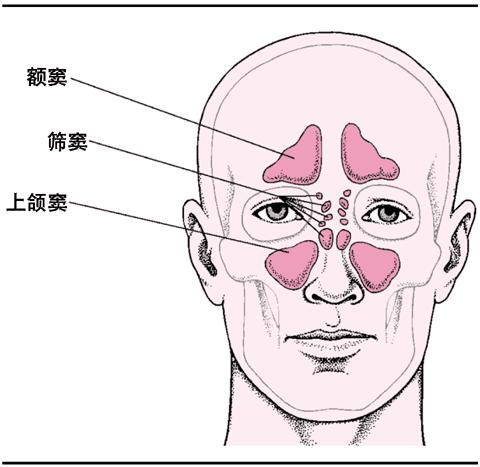 郑州做鼻息肉手术到哪家医院好？